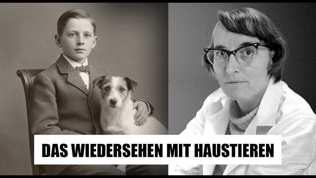 Werden wir unsere Haustiere wiedersehen Die schönste Bestätigung von Elisabeth Kübler-Ross