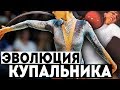 ИСТОРИЯ И ЭВОЛЮЦИЯ КУПАЛЬНИКА | ХУДОЖЕСТВЕННАЯ ГИМНАСТИКА