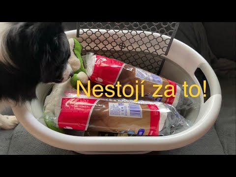 Video: Proč je flyball dobrý pro psy?