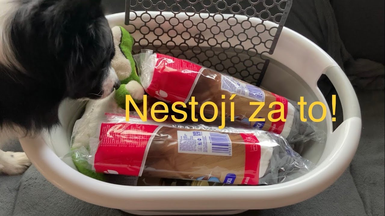 Produkty pro život se psem, které nekupovat - nejneoblíbenější produkty - ležáky ve skříni