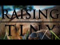 Raising Tiny: The Ups and Downs of Raising a Hunting Dog