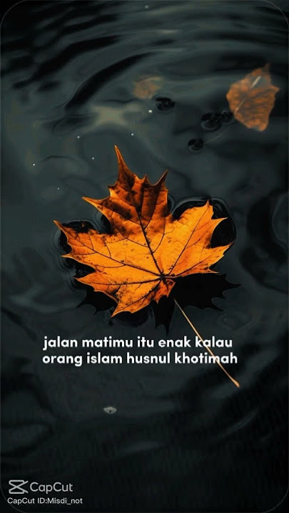 Agar hidup Lebih tenang.      Lapor pak Dedi... #fypシ゚viral #fyp #viralvideo