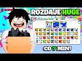 🎀 LOSOWANIA NA HUGE CO 7 MINUT W PET SIMULATOR 99🔥WBIJAJ I WYGRYWAJ 🎁 #roblox  #robloxtemat