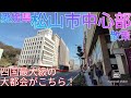 松山市ってどんな街? 四国最大都市の中心部は景観が美しすぎた!【愛媛県 県庁所在地】(2021年)