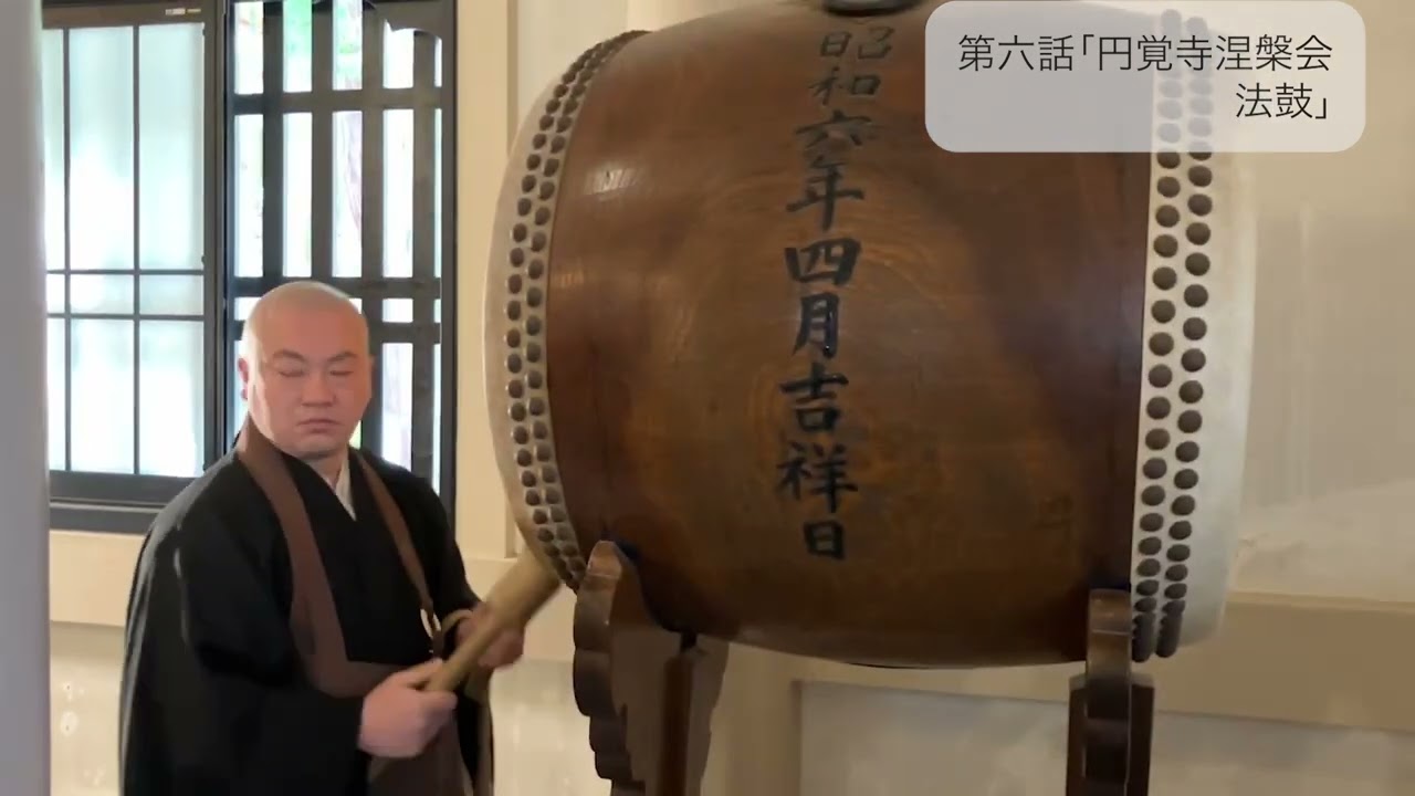 東京禅センター | 妙心寺