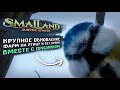 Крупное обновление в Smalland: Survive the Wilds! Фармим на новый сет и на птицу!