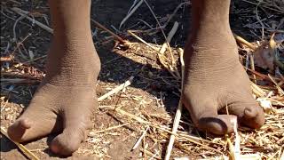 Африканское племя ,,КЛЕШНЕНОГИХ  Люди страусы  Klondike TV