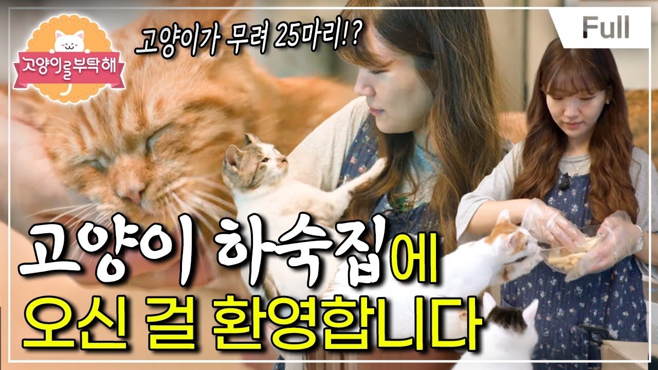 [Full] 고양이를 부탁해 - 고양이 하숙집에 오신 걸 환영합니다