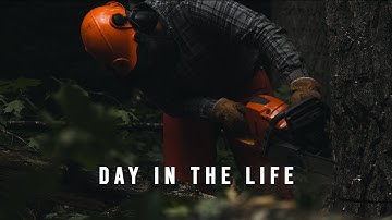 Day In The Life of a Logger