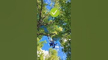 Photoshop 2025: Easily Remove Sky Background Using Channels 🤯 #shorts