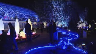 Best Of 2017: Phipps Conservatory Dazzles During Holildays