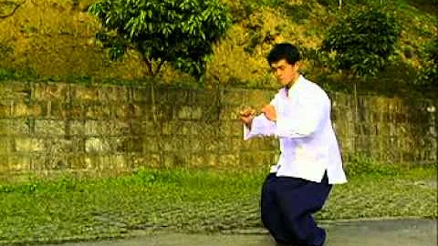 武术-卫子云-八极拳 - 天天要闻