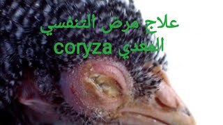 علاج الدجاج من مرض:التنفسي المعدي (coryza) 0606882937