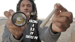 FACING A 3.5 OF TURTLE PIE TO THE FACE 