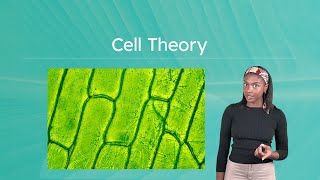 Cell Theory - How the Microscope Revolutionized Biology