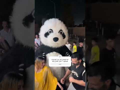 حد شاف الباندا بتعمل اي اكسبلور باندا الغوريلا ترند مهرجانات تيك توك فولو لايك ضحك