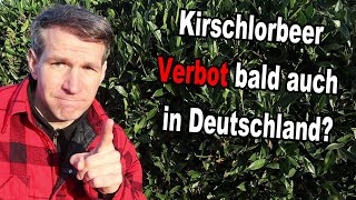 Beschlossen! Kirschlorbeer Verbot Ab September In Der Schweiz  – Droht Uns Dasselbe?