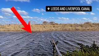 Feeder Fishing on the Leeds and Liverpool Canal! 🎣