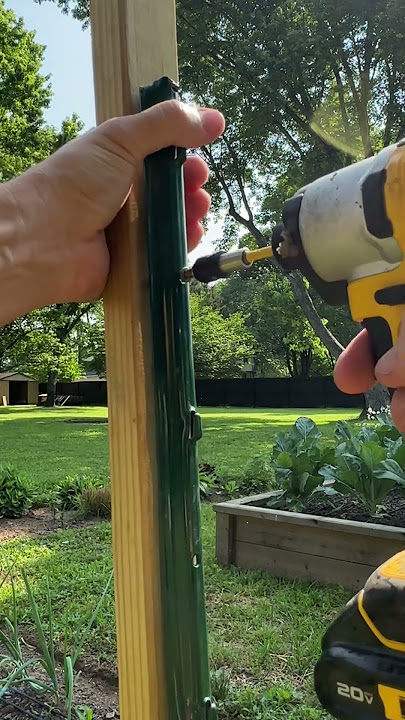 Best Tomato Trellis (for cheap)