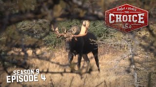 Newfoundland Moose Mania!  The Choice (Full Episode) // S9: Episode 4