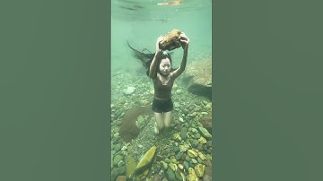 funny epic fails #funny #fails