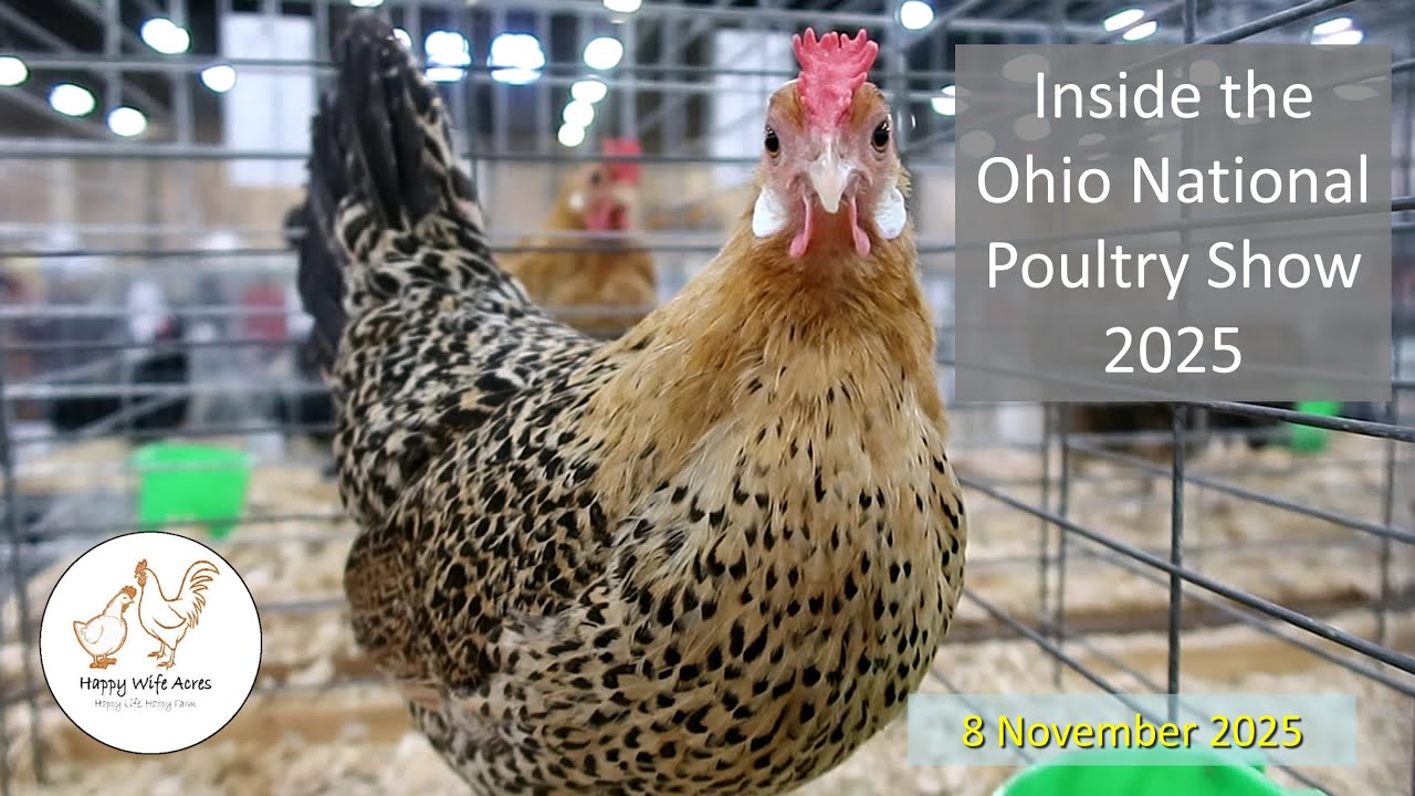 Внутри Ohio National 2025