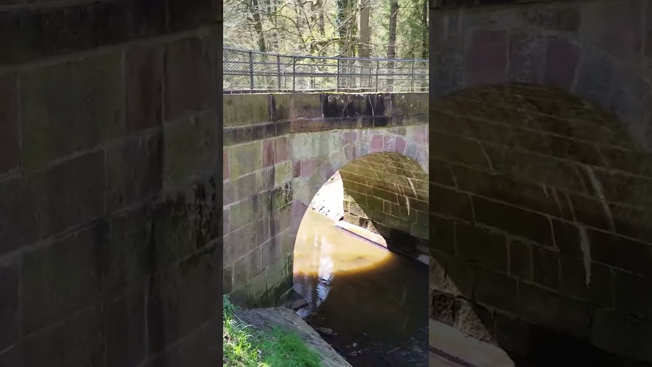 1970er: Bürger der Gemeinde Suddendorf setzen sich für "Napoleonbrücke" ein | Grafschaft 2go