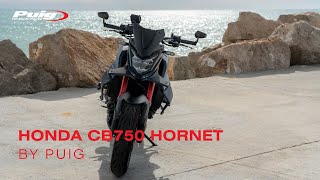 Honda Hornet 750 by Puig