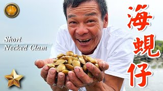 野味55集 | 海蜆仔 | 薑絲 塔香 | Short Necked Clam | 萍哥Pinger