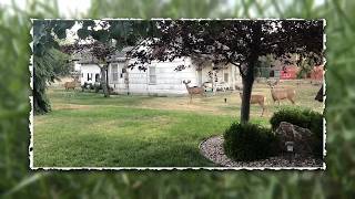 Grantsville family raises concerns after hunters ask to hunt deer on their property