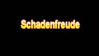 What Is The Definition Of Schadenfreude Medical School Terminology Dictionary