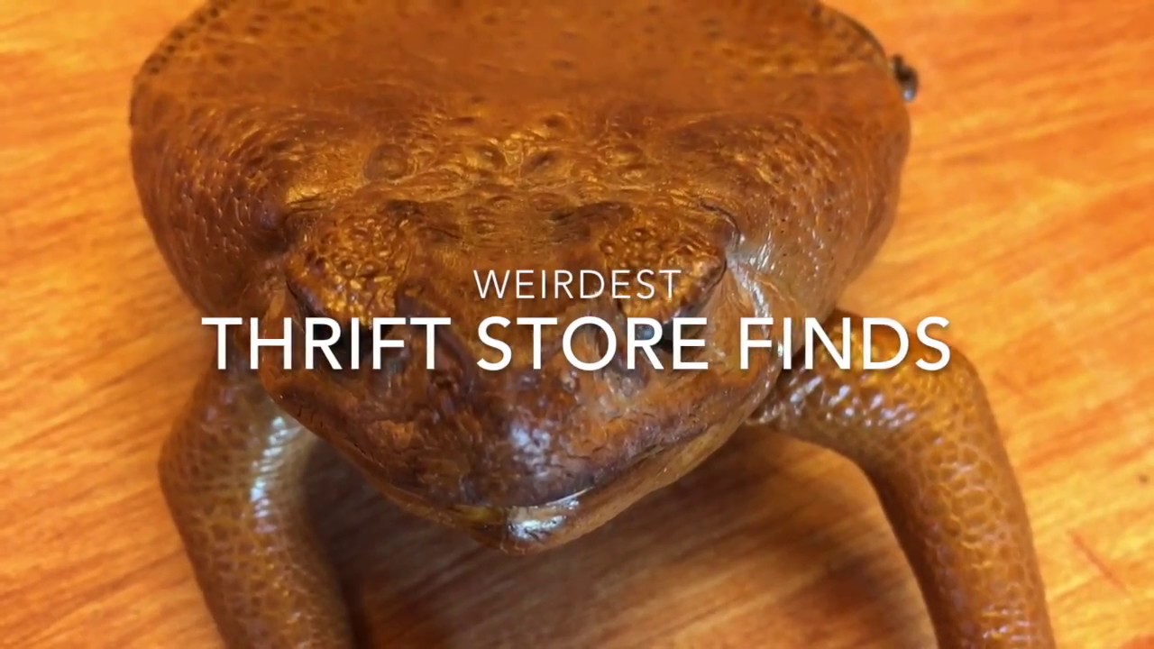 Weird Thrift Store Finds YouTube Weird Thrift Store Finds YouTube