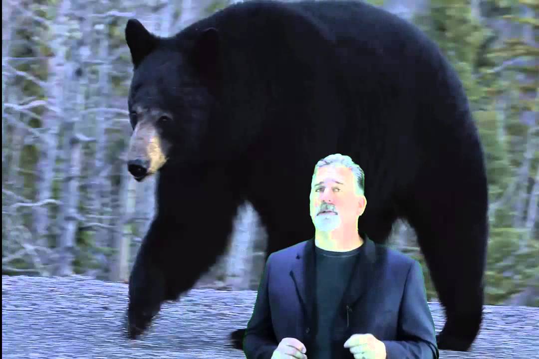 09/23/15 Dave Landry's Market Update-Bear Signals Triggering