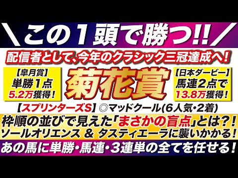 菊花賞 2023【予想】この１頭に全てを託す！枠順の並びに見えた盲点とは？！ソールオリエンス & タスティエーラに襲いかかる「あの馬」に全てを任せる！