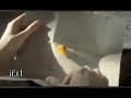 حالات واتس يا مرسال الهوى