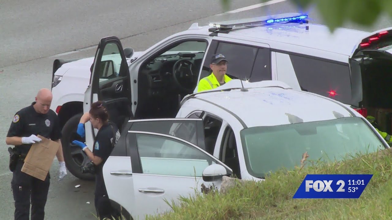 Man pleads guilty in crash that killed St. Louis officer David Lee ...