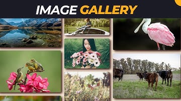 How To Make Image Gallery Using HTML & CSS | Create Image Gallery Step by Step