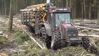 Muddy Adventures: Witness Incredible Forestry Tractors in Action