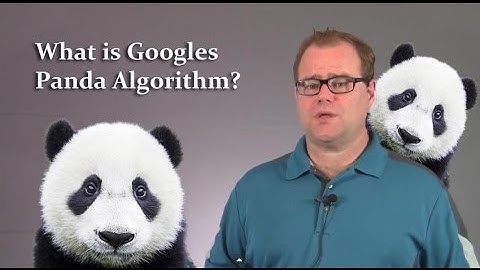 What is The Google Panda Algorithm?