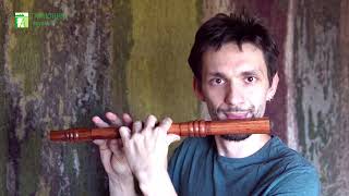 Поперечная Средневековая флейта в Фа из палисандра - Гармония звука