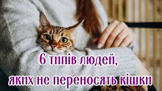 6 Типов Людей, Которых Не Переносят Кошки