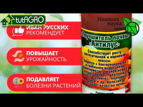 Видео: Весенняя информация и уход за Тити: подкормка пчел черным деревом Тити