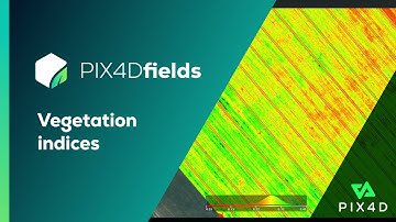 Vegetation indices | PIX4Dfields Beginner Tutorials
