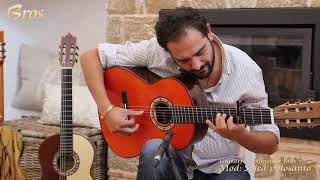 Guitarra Francisco Bros Mod.&quot; Soleá de Palosanto &quot;. Al toque del gran Diego Del Morao.