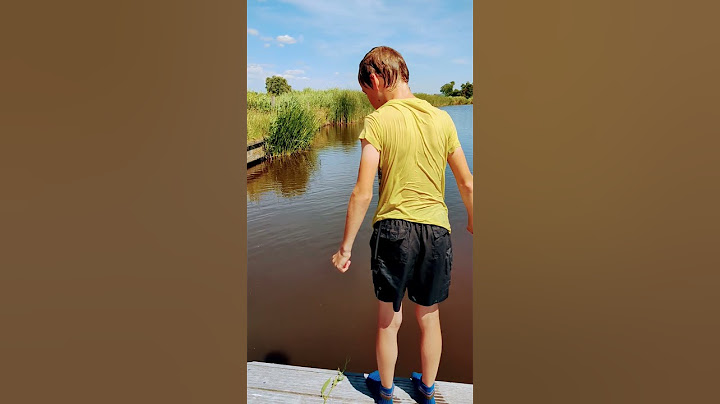 ik ga in de sloot springen voor de 700 abonnees