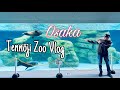 Janmese ပြန်လာပါပြီ