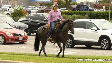 Anie Dot Com - riding in town! - ValleyViewRanch.net