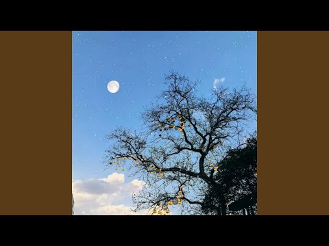 心跳藏不住 (治愈版)