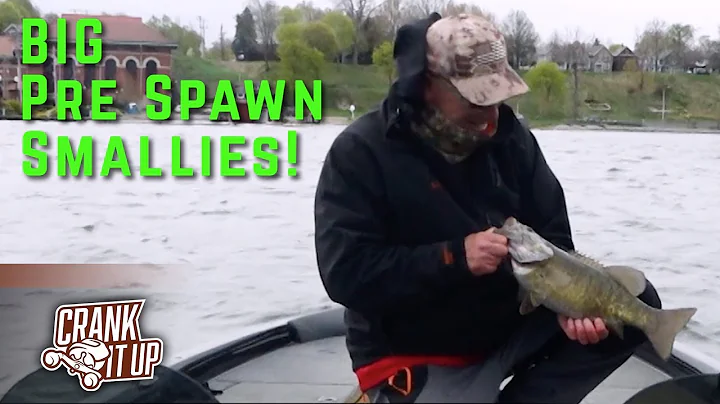 How and Where to Catch BIG Spring Smallmouth on Crankbaits – Crank It Up