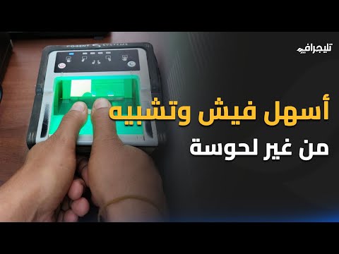 طريقة عمل فيش وتشبيه من البيت شرط وحيد لازم تعرفه والسعر في المعقول